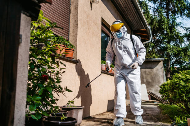 Best Cockroach Control Services  in Weaverville, CA