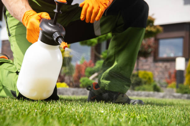 Best Wildlife Control Services  in Weaverville, CA