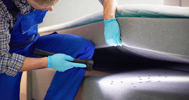 Best Wasp Removal Services  in Weaverville, CA