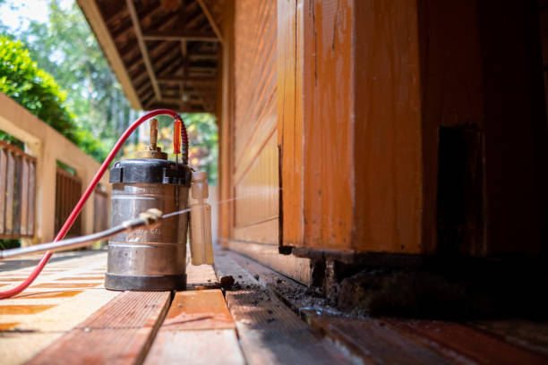Best Local Pest Control Services  in Weaverville, CA