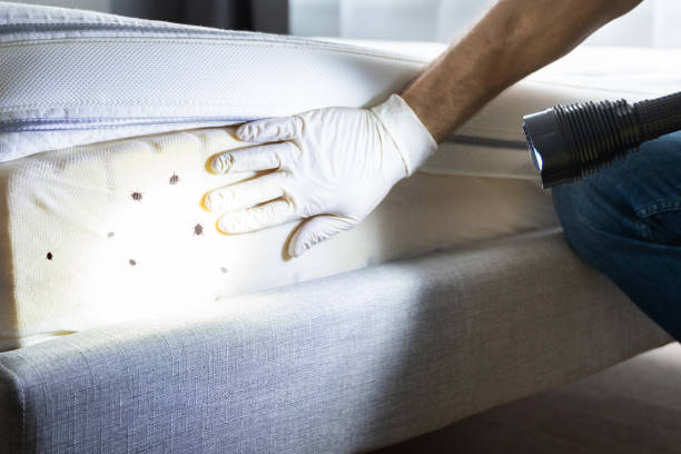  Weaverville, CA Pest Control Pros