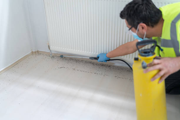 Best Mosquito Control Services  in Weaverville, CA