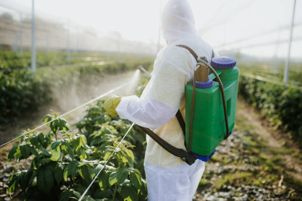 Best Emergency Pest Control  in Weaverville, CA